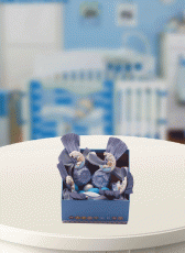 Torbacık Ay Mavi - Kutu(erkek bebek çikolatası)